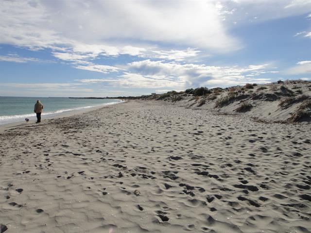 Beach - view looking North towards Fremantle