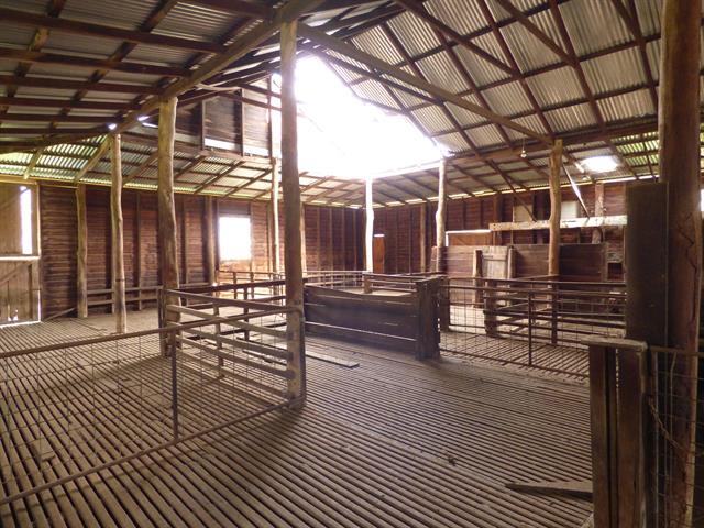 Shearing Shed Roof Damage