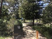 Rowe Park
