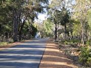 Road leading to Observatory