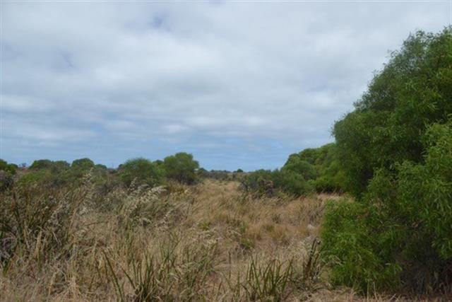 Port Kennedy Scientific Park 1