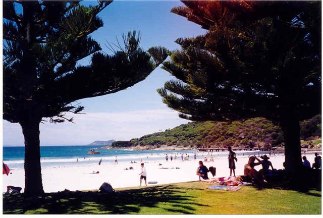 Middleton Beach