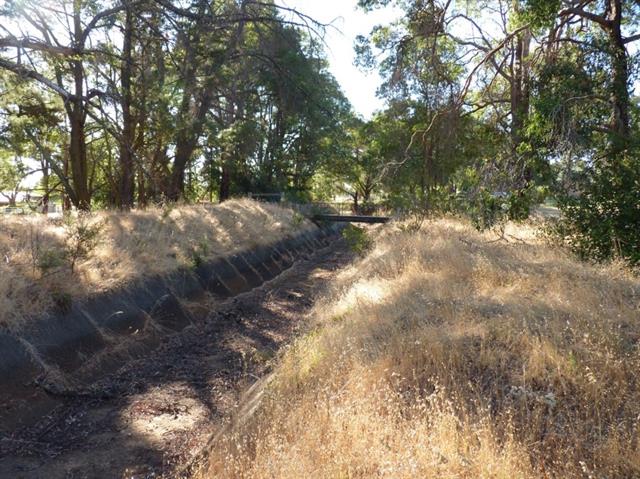 Irrigation Channel (grass)