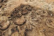 Jarrah sections under excavation