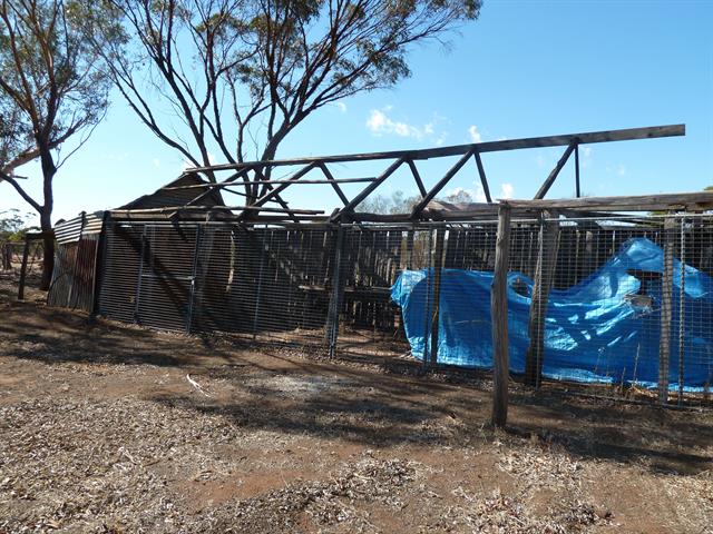 shed