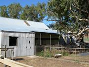 Shearing shed reroofed - north side