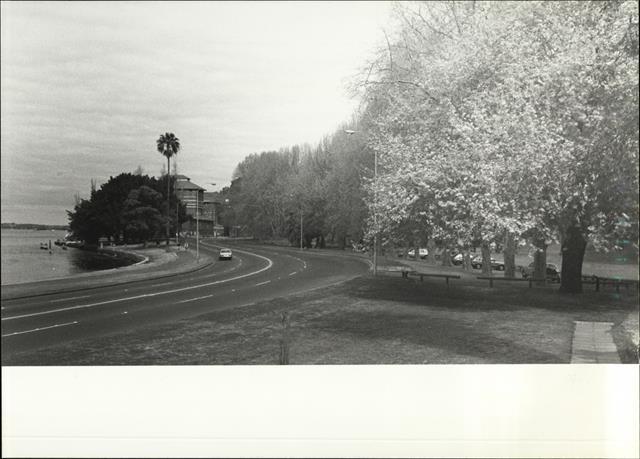 View of plane trees West of fountain