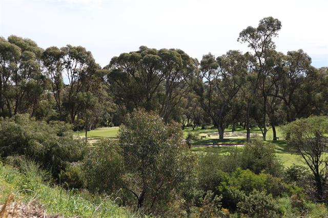 Wembley Golf Club Grounds