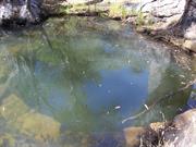 View across c.1832 stone lined well