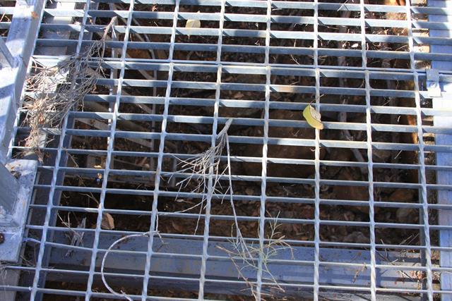View down fmr mine shaft
