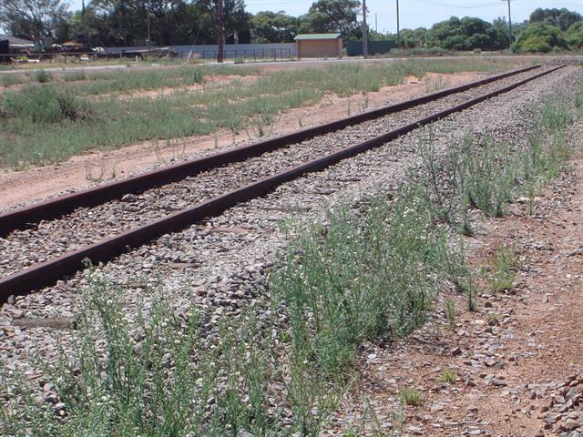 Railway Tracks