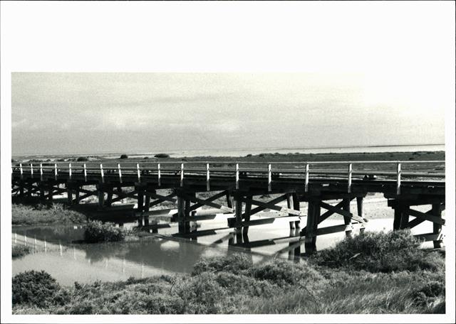 Side view of jetty showing detail of support struts & beams