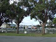 Lower cemetery north east