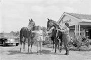 SJ12-22 1963