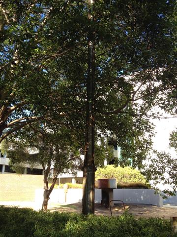 View from Royal Street looking southwest