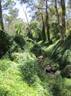 Neerigen Brook