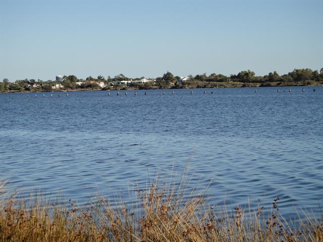 View looking west from Riverton Drive North