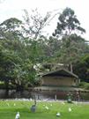 Bandstand from western side of river 2011