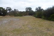 Grounds