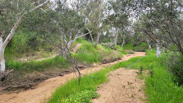 Stockyard Gully - 1 Sep 2021 (2)