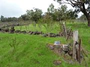 Stone walls - view south
