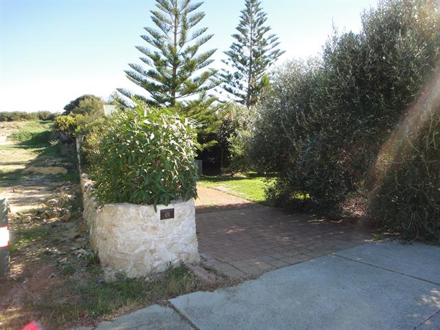 Front view of house, obscured by trees