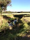 Yarloop Swimming Hole