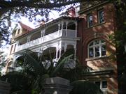 Kirkman House and fig tree