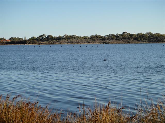 View looking west from Riverton Drive North