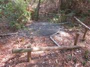 Bilgoman Well 4