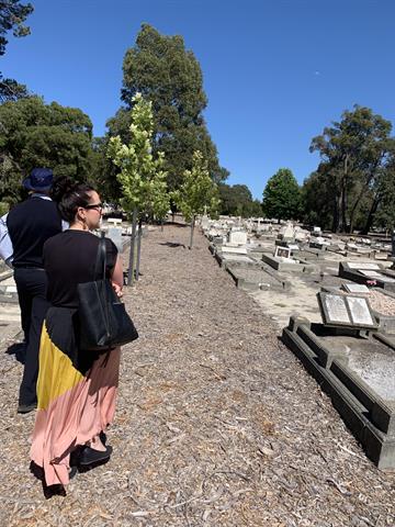 North Cemetery - Path and trees of 'historical' area