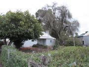 cottage and rear yard