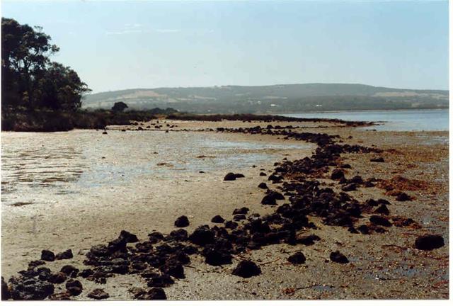 Oyster Harbour Fish Traps