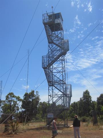 Mount William Fire Tower