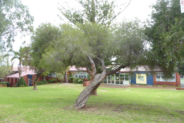 Kapinara Primary School