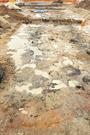 Jarrah sections during excavation