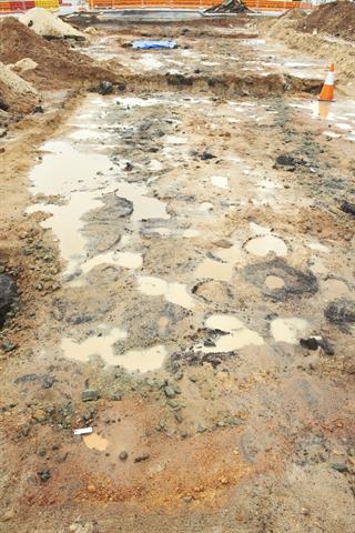 Jarrah sections during excavation