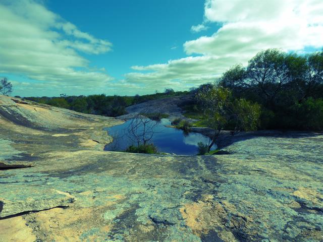 Rock Pool from North