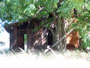 Side (south) elevation