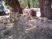Yard Wall