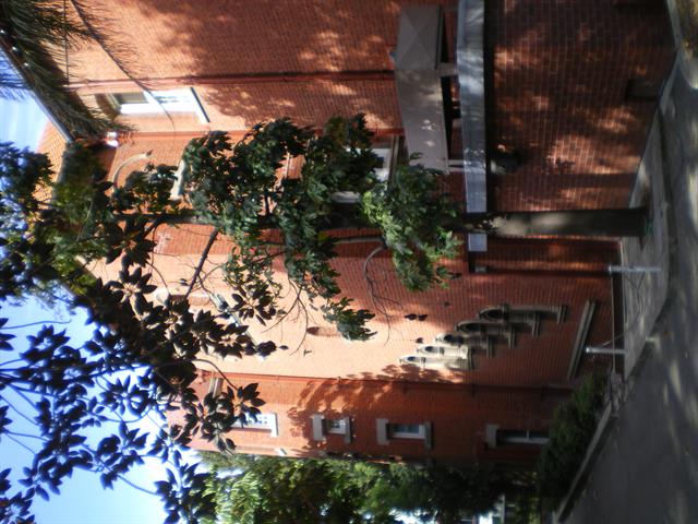 Side View