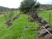 Stone walls - view east
