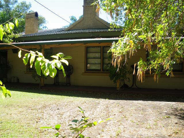 Front View