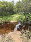 Cockleshell Gully - Water Crossing along Stock Route - 1 Sep 2021 (2)