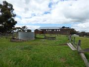 Shearing Shed from west with Roof Damage